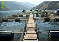 Aquaculture Fish Shrimp Pond Anti-Seepage And Construction Solution Project