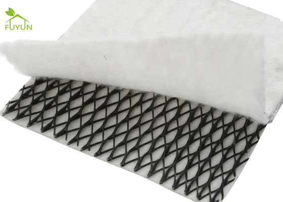 assiette de la route de couche de drainage de Geocomposite du drainage 3D protéger le filtre